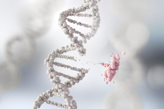 Photo of a DNA helix break causing genetic mutation