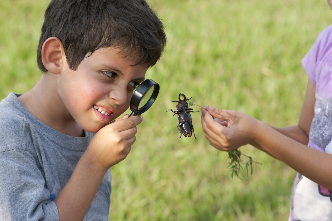 Young boy looking at a beetle through magnifying glass